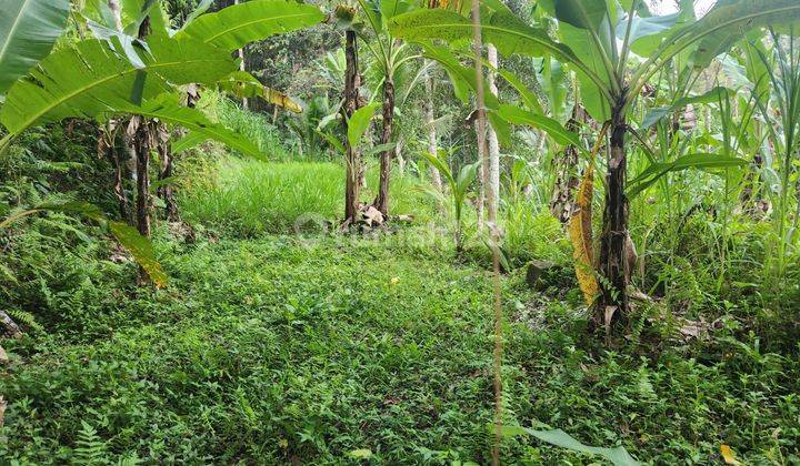 Tanah los sungai dan view jungle, akses jalan 4 meter di Ubud 1