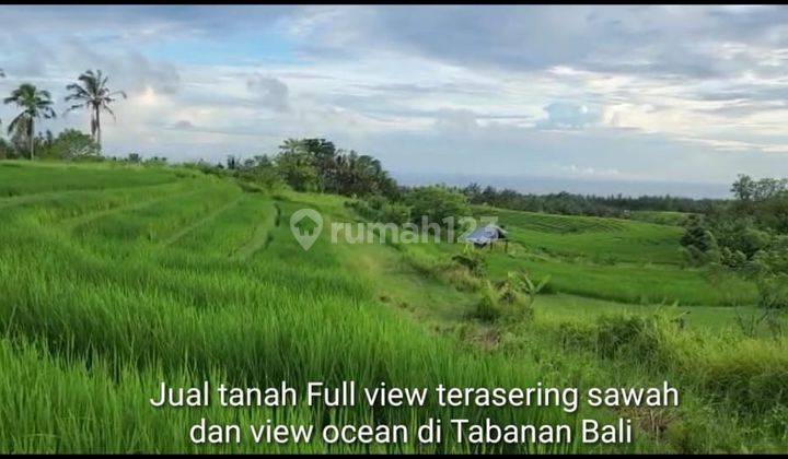 Tanah Impian Anda! View Laut, Sawah & Gunung Di Tabanan 2