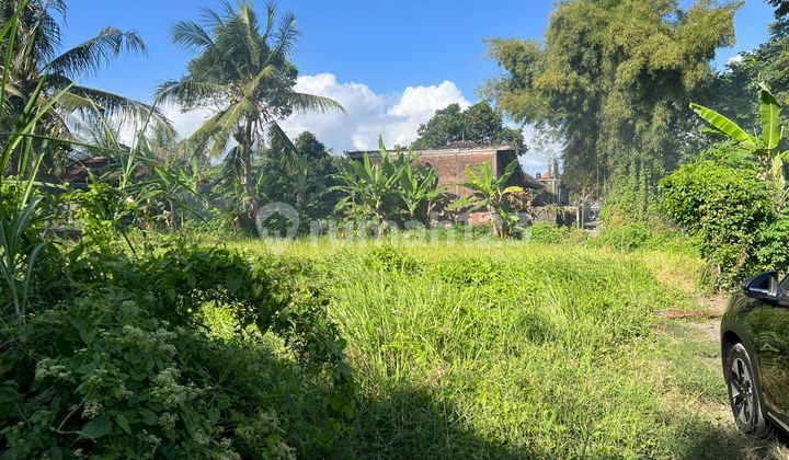 Tanah Strategis Lingkungan Villa Mewah Di Lodtunduh Ubud
