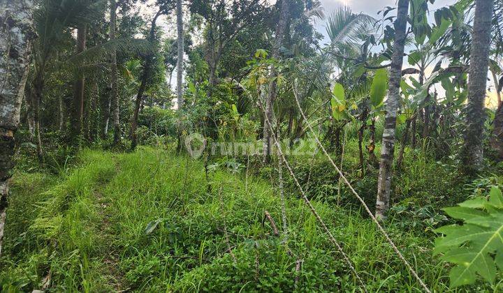 Tanah full view jungle dan los sungai di Ubud, kontur terasering 1