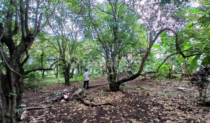 Land Near Sawangan Cipayung Toll Road Depok