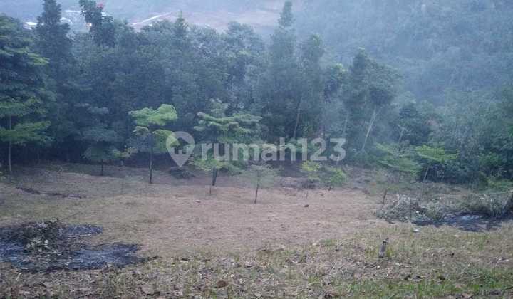 Kavling Mainroad Cocok Komersial di Mekarwangi Maribaya Kavling Mainroad Cocok Komersial di Mekarwangi Maribaya