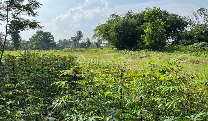 Tanah Tigaraksa Milik Pribadi 1109 Meter Dekat Stasiun Daru Dan Pemda Dan Bsd Akan Ada Tol Balaraja Serpong. 1