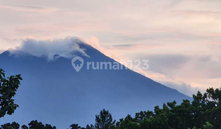 Sell Fast Premium House Ready to Live Green Golf Hill Sentul City 2