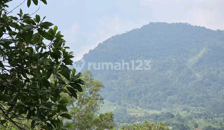 Dijual Cepat Kavling Bangun Best View Sentul City Dijual Cepat Kavling Bangun Best View Sentul City