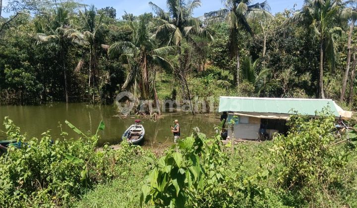 8 Bidang Tanah di Sumedang Kawasan Agrowisata Bendungan Cipanas