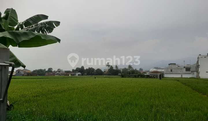 Strategic Wide Rice Field Land on Main Road Near Soreang PEMPKAB.