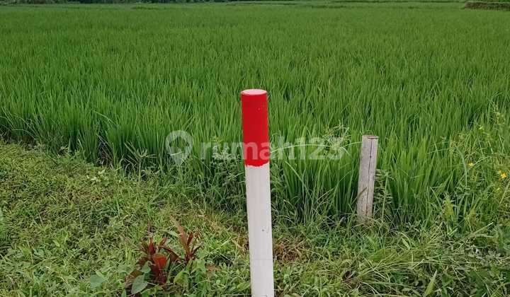 Provincial Roadside Land in Rancagoong Cianjur Near Jl Raya Sukabumi Provincial Roadside Land in Rancagoong Cianjur Near Jl Raya Sukabumi
