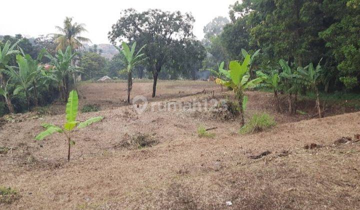 Murah Tanah Rata Dan Downslope Di Cijambe Atas Dekat Buper D'peak 1