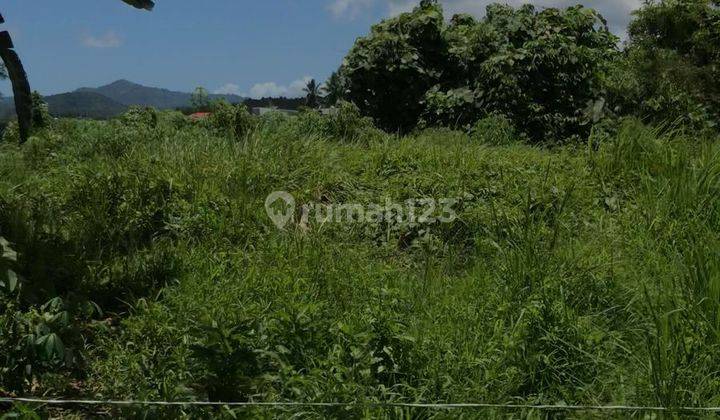 Tanah SHM Lokasi Strategis di Paniki Bawah, Mapanget, Manado 1