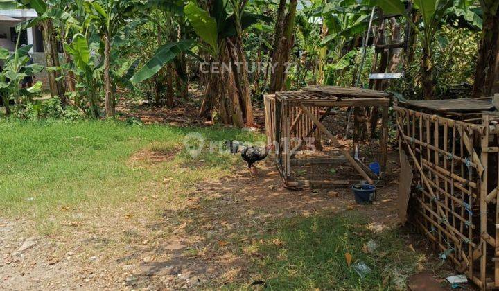 Tanah Cocok Untuk Rumah Kavling Di Cilangkap S8041 1