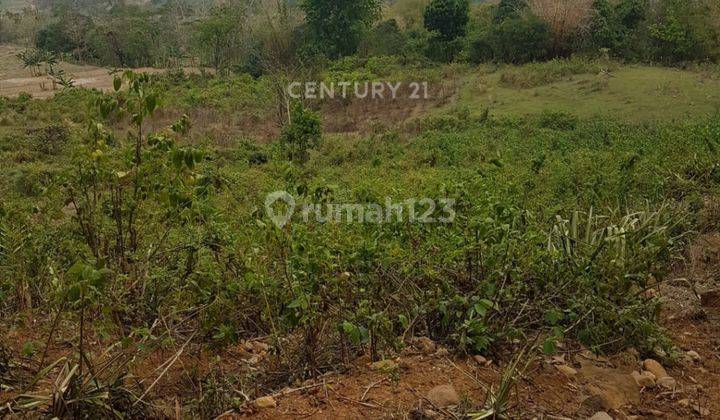 Lahan Tanah Dekat Tempat Wisata Di Cariu S8187 1