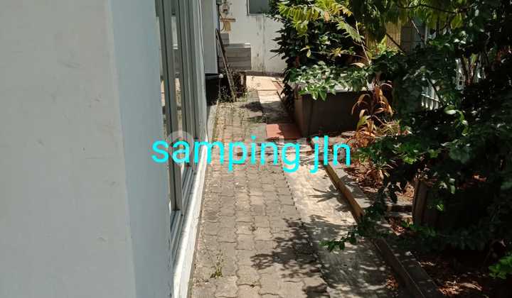 Jual Rumah Luas Di Tanjung Duren 2