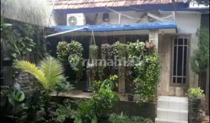 Di Jual Rumah + Kost Luas Di Jakarta Timur Di Jual Rumah + Kost Luas Di Jakarta Timur