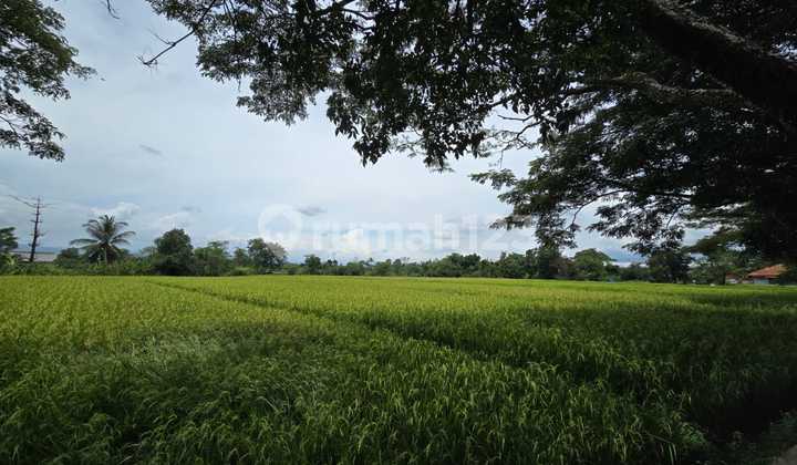 Land For Sale Cheap Wide On Jl Nasional Iii, Cianjur City 32 Land For Sale Cheap Wide On Jl Nasional Iii, Cianjur City 32