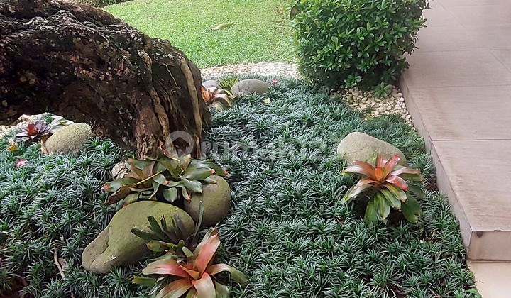 Ready-to-Use House, Move-In Ready 2