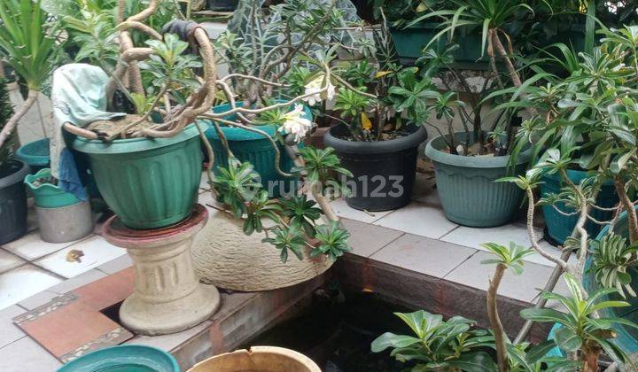 Rumah 2 Lantai Di Permata Depok Regency Lt 60 Lb 72 Harga Rp 900 Juta Nepis 1