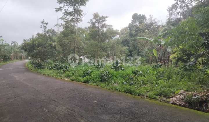 Prime Strategic Land on a Wide Road, Ready to Use in Tegalsari