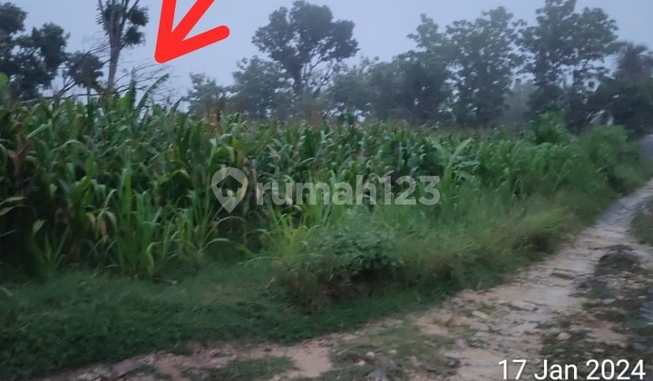 Lahan Istimewa Zona Industri Siap Pakai Strategis di Boyolali Lahan Istimewa Zona Industri Siap Pakai Strategis di Boyolali