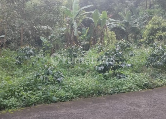 Prime Strategic Land on a Wide Road, Ready to Use in Tegalsari