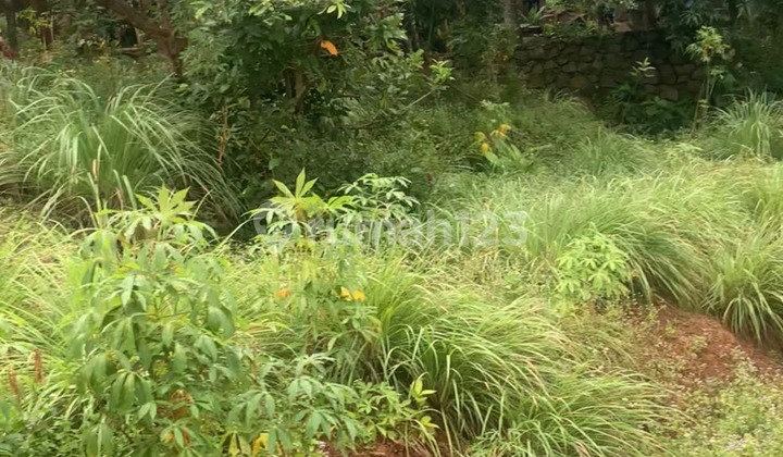 Tanah Strartegis di Jalan Gedawang Banyumanik 1