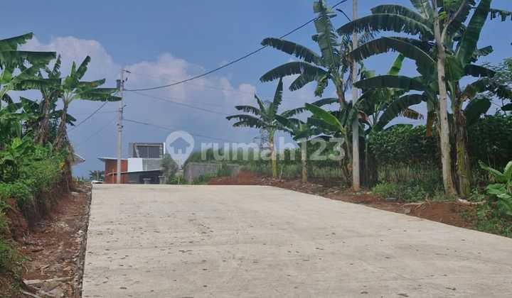 Ready-to-Use Strategic Warehouse Complex in Jatibarang