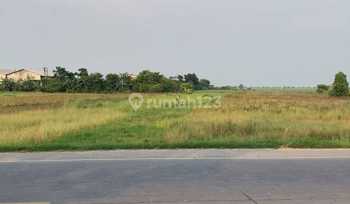 Tanah Luas Bagus Zona Indutri di Jepara Jl Demak Jepara 1