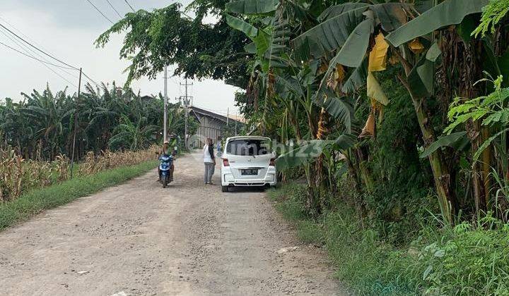 Tanah Strategis Luas Bisa Perluasan di Merangen 1