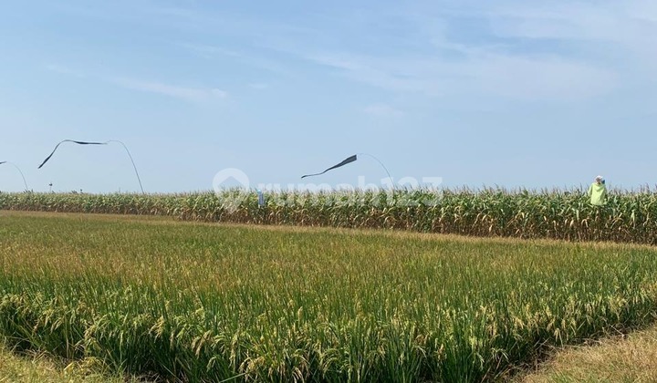 Hold Ready-to-Use Strategic Industrial Zone in Kendal