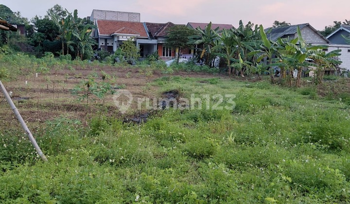 Lahan Strategis Siap Pakai Harga di Bawah NJOP di Beringin  1