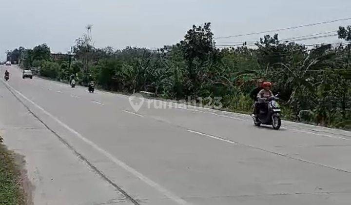 Lahan Zona Merah Strategis di Grogogan Wirosari 1