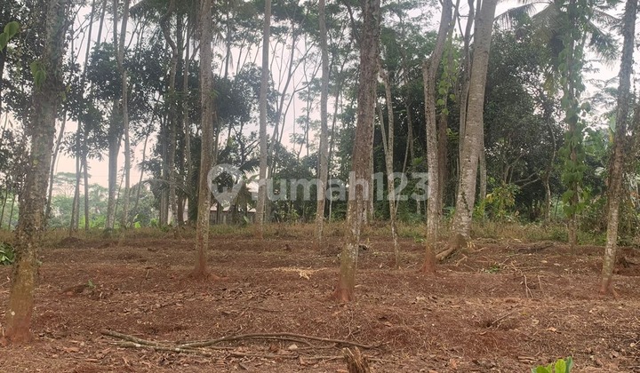 Premium Land Ready to Use Strategic in Batang Premium Land Ready to Use Strategic in Batang