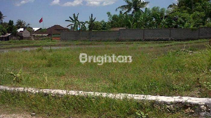 Tanah daerah Margomulyo, strategis, 50 meter dari nol jalan 1