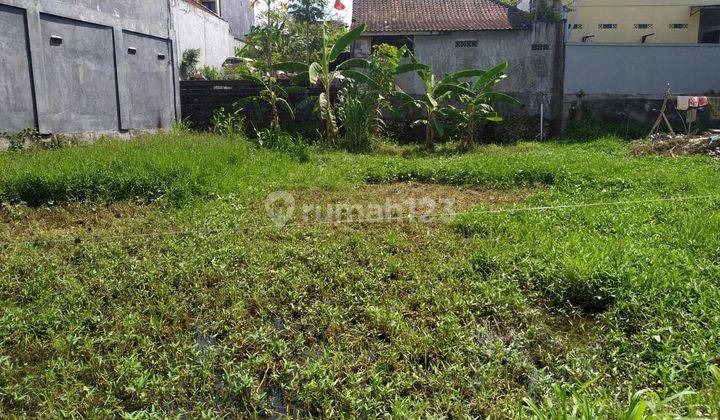 For Sale 2 Are Cheap Land In Kebo Iwa Utara CC 1