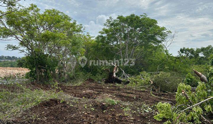 Dijual Tanah View Jungle Cocok Untuk Villa Di Nusa Dua Ad 2