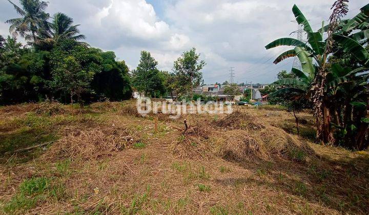 Tanah Darat LT 4000 m² Bonus Rumah Nempel Jalan Raya 30 menit ke Tol Desari Tol Outer Bogor Strategis Parung Kab Bogor  cocok untuk Perumahan, Town House, Gudang 2