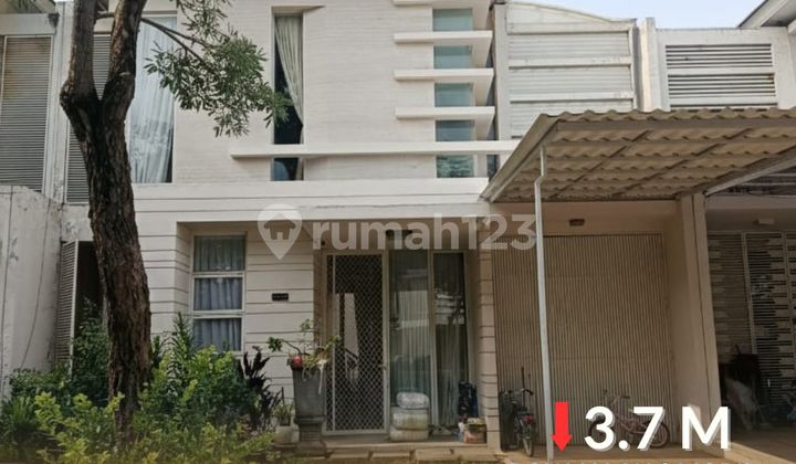 Palm Beach Pakuwon City - Siap Huni Nego Sampai Deal