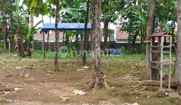 land for sale with asphalt road access in Sumbang land for sale with asphalt road access in Sumbang