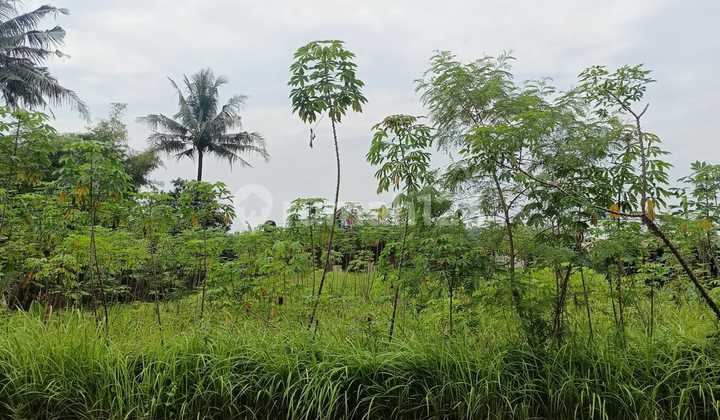 Dijual Tanah Daerah Sumbang Banyumas