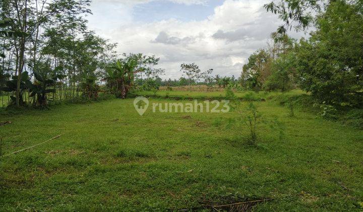 dijual tanah sawah di sumbang, banyumas 1