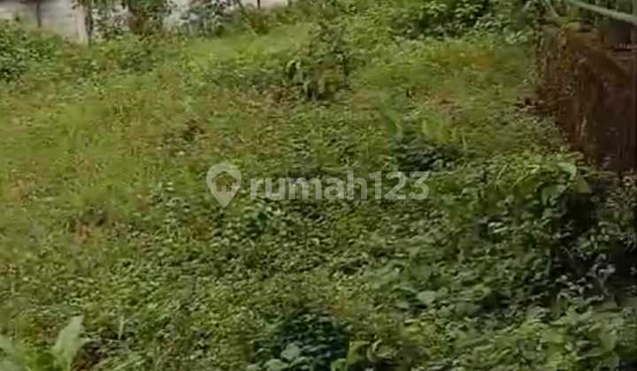 Dry land for sale in the Banyumas area. Dry land for sale in the Banyumas area.