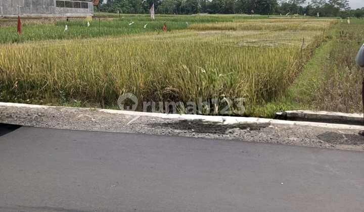 Land for Sale in Kembaran Area, Banyumas Land for Sale in Kembaran Area, Banyumas