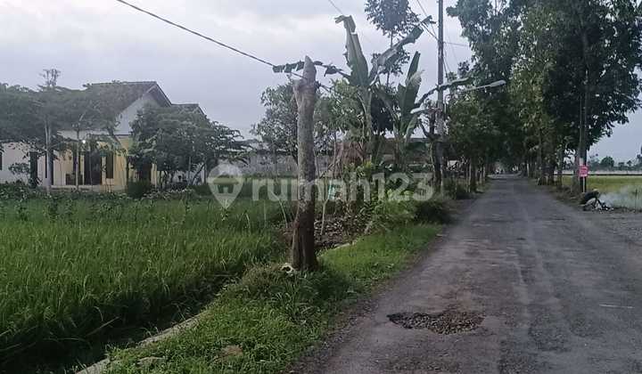 For sale rice field land in the Kalimanah area, Purbalingga For sale rice field land in the Kalimanah area, Purbalingga