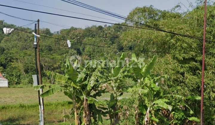 dijual tanah sawah kering di somagede Banyumas dijual tanah sawah kering di somagede Banyumas