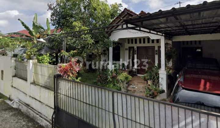 dijual rumah dan kebun buah di daerah sokaraja dijual rumah dan kebun buah di daerah sokaraja