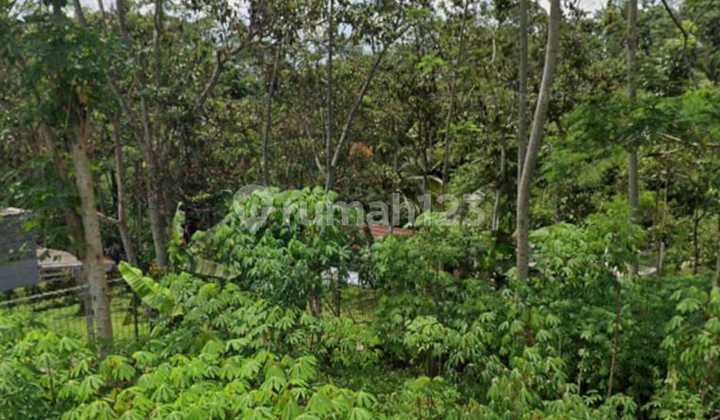 Land for sale near tourist attractions in Baturaden.