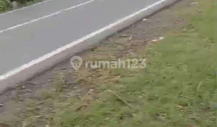 Dry land for sale in the Banyumas area. Dry land for sale in the Banyumas area.