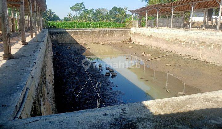 dijual tanah dan kolam permanen di daerah kembaran banyumas 2