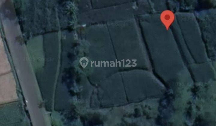 dijual tanah sawah di sumbang, banyumas 2