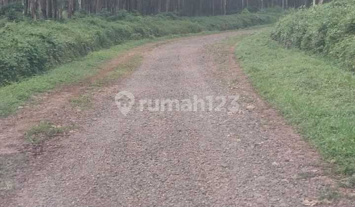 Tanah Di Branjang, Ungaran Barat, Semarang, Jawa Tengah, Indonesia, Ungaran 2